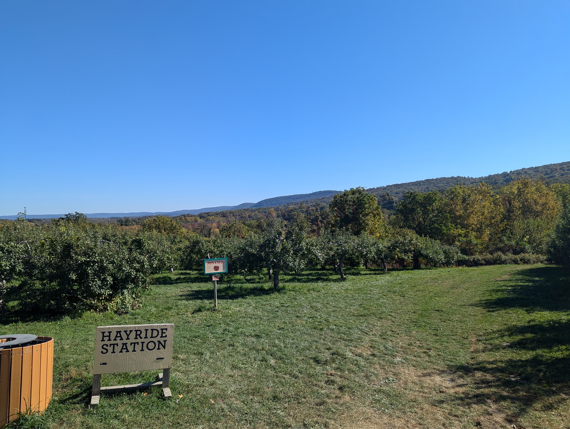 We took a short hayride to the orchard