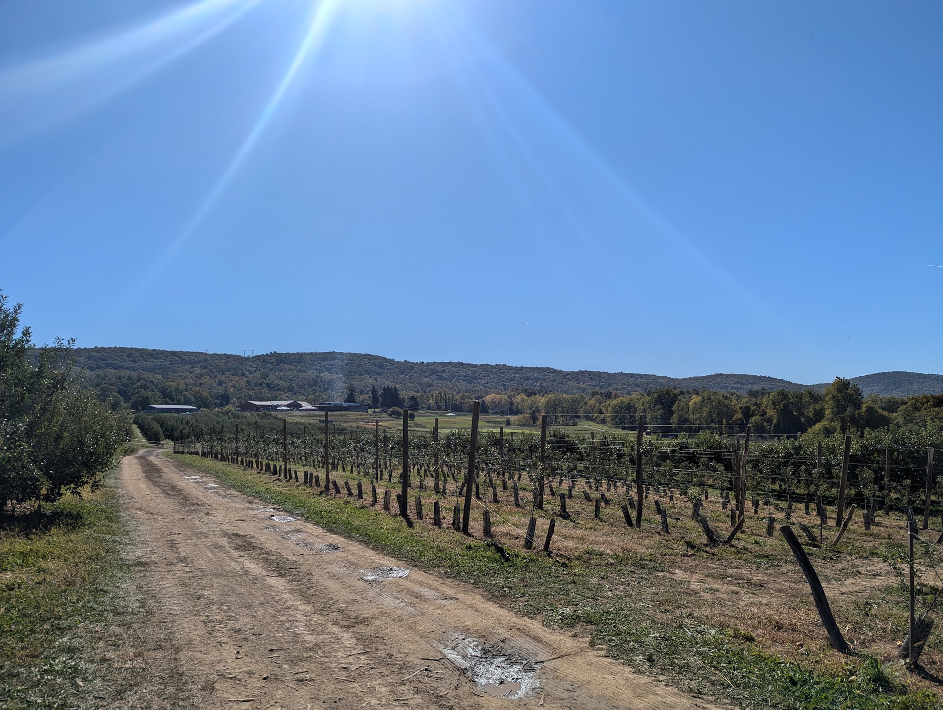 The weather was pretty much perfect
