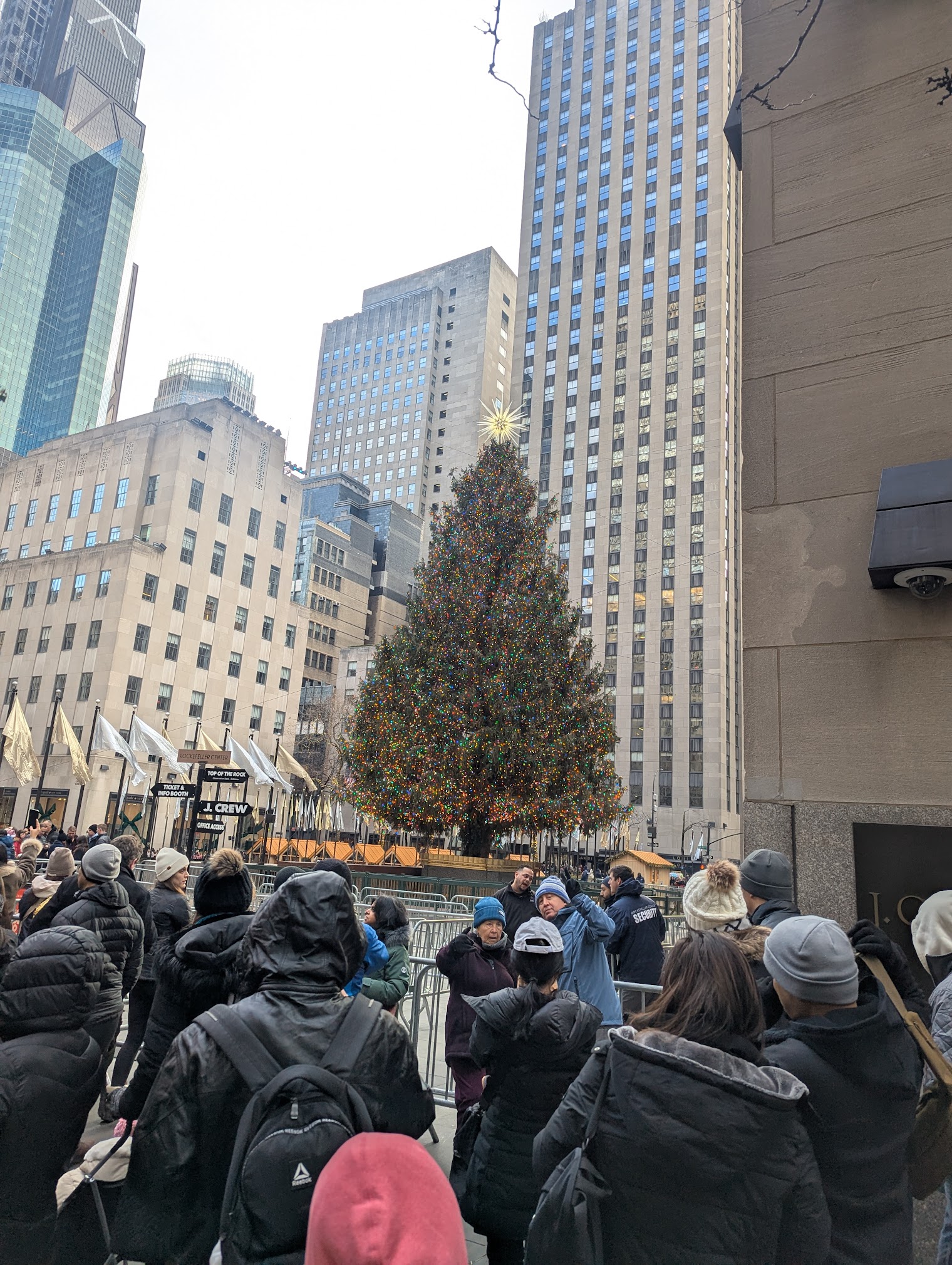 The Rockafeller christmas tree