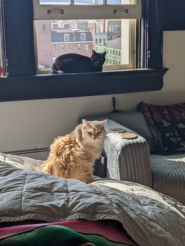 Molly and Ruby are ready