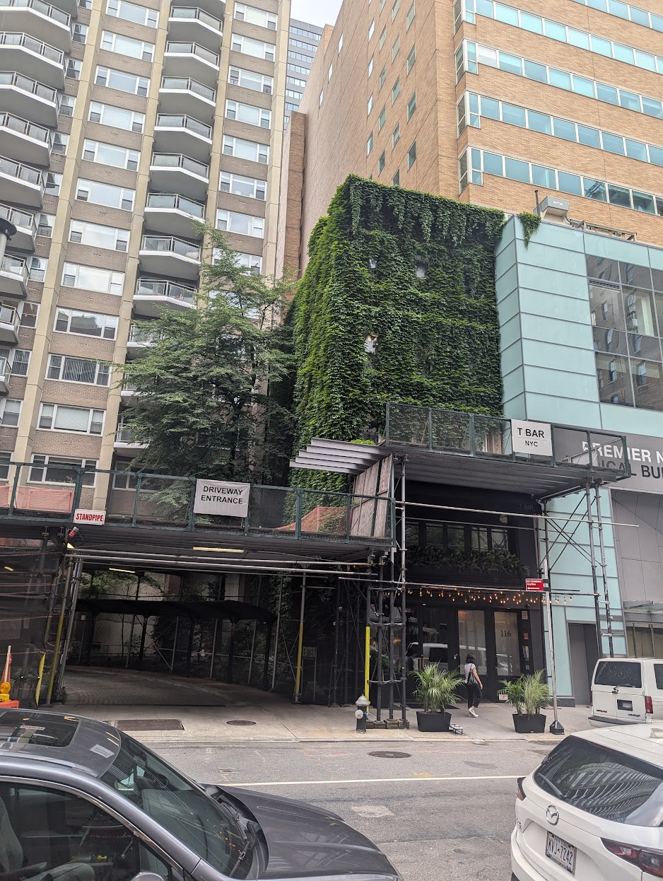 A cool building in upper east side completely covered in ivy.