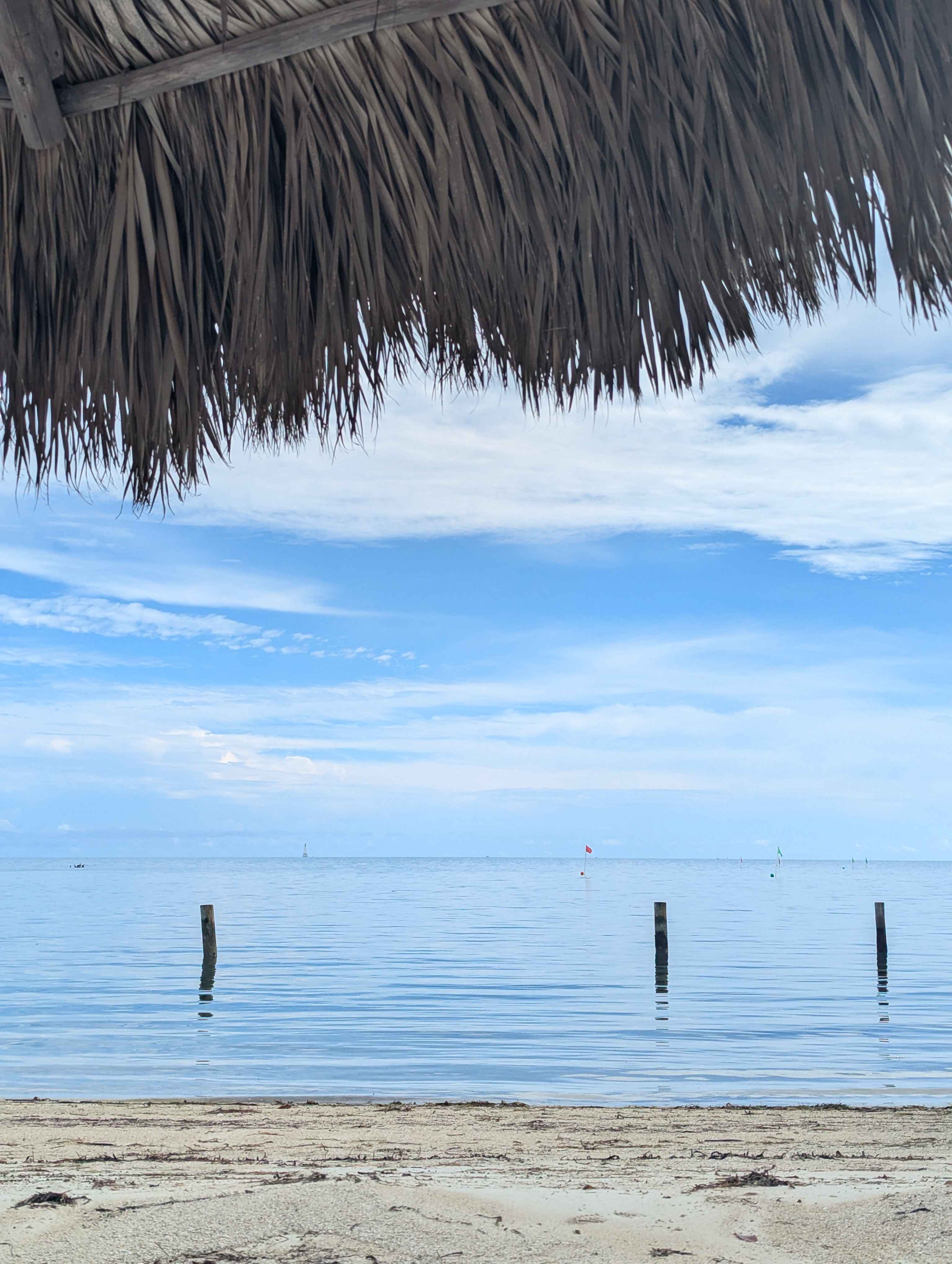 View from the beach