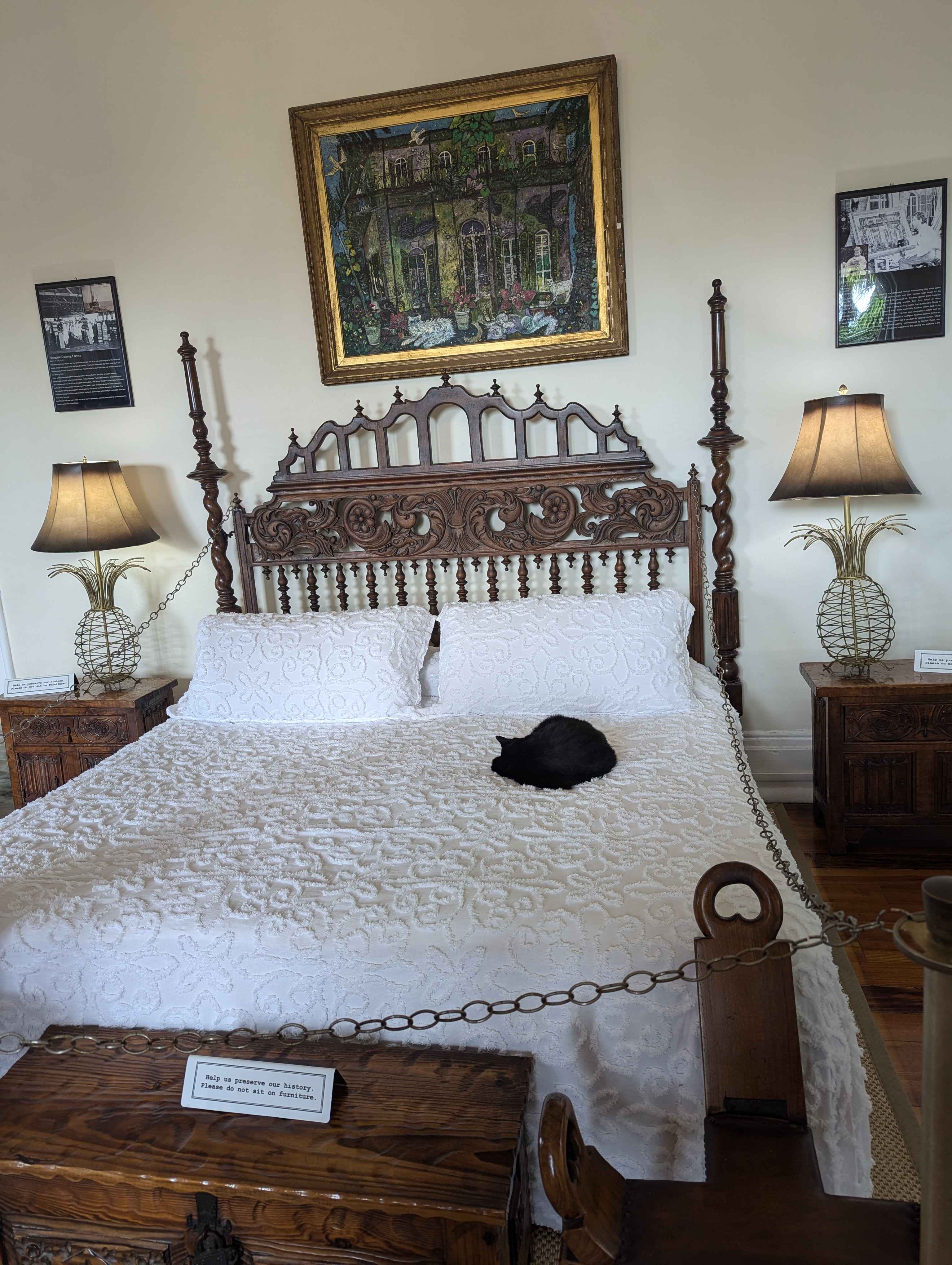 Cat sleeping on the bed at the Hemingway House. Notice that the bed is off limits. The cat does not care.