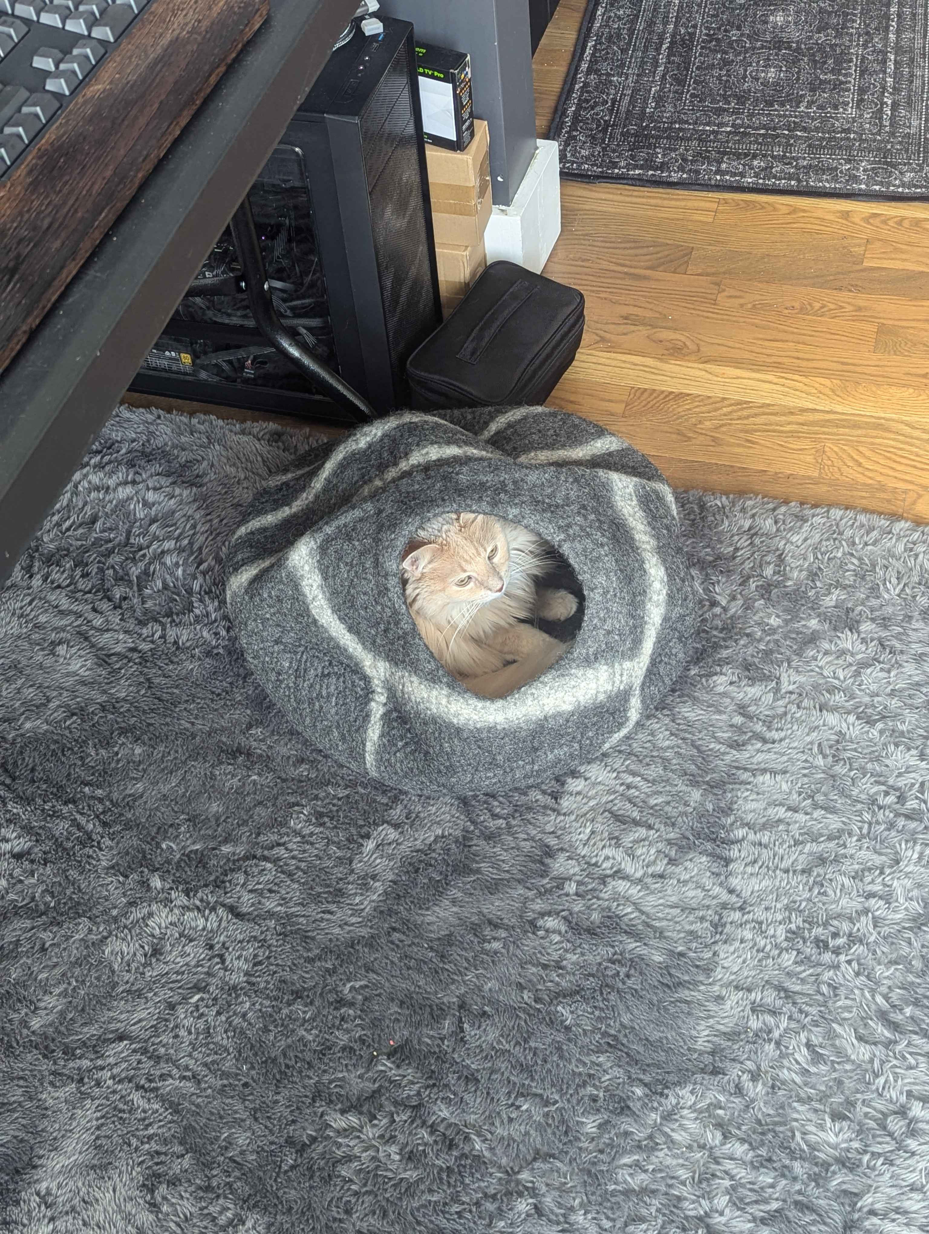 Ruby got a new bed. We call it her cave.