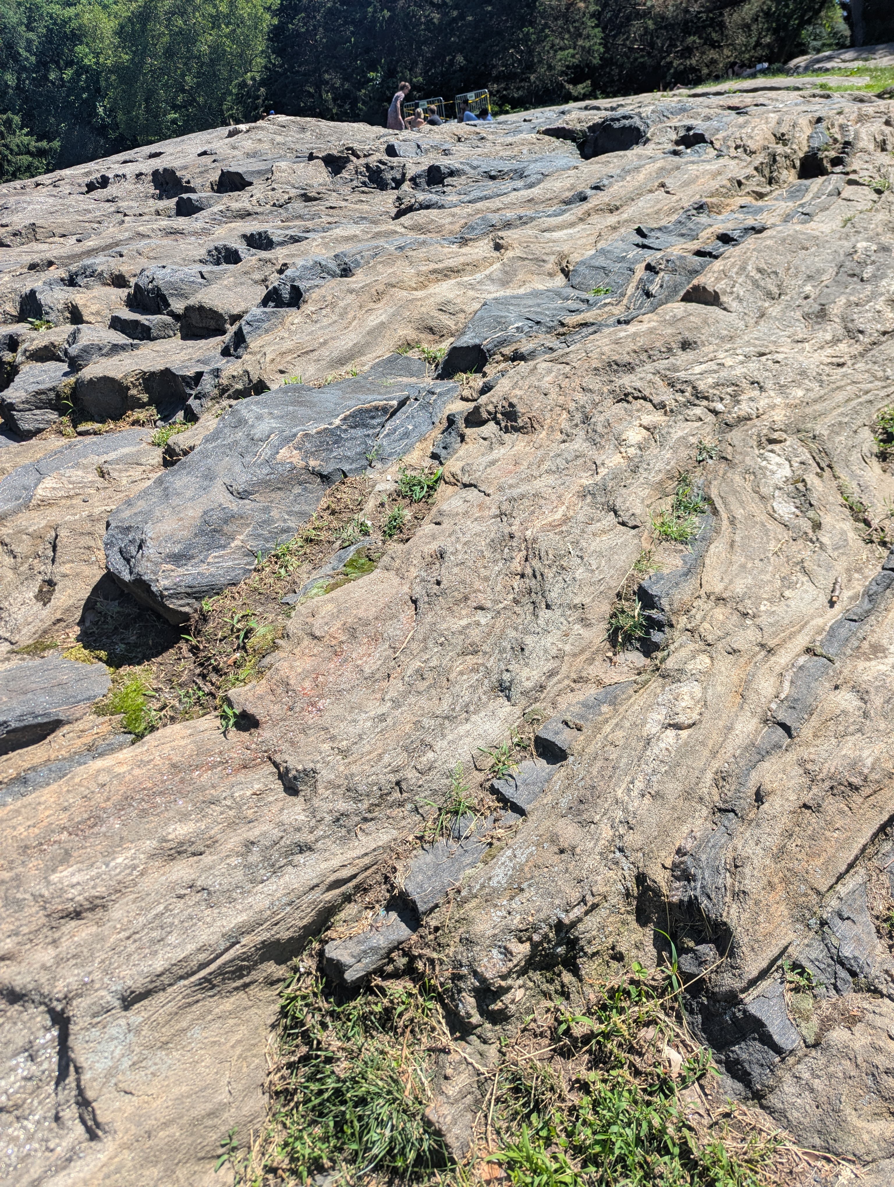 There are a lot of large rocks in the park left over from glaciers. This one was really big and sparkly!