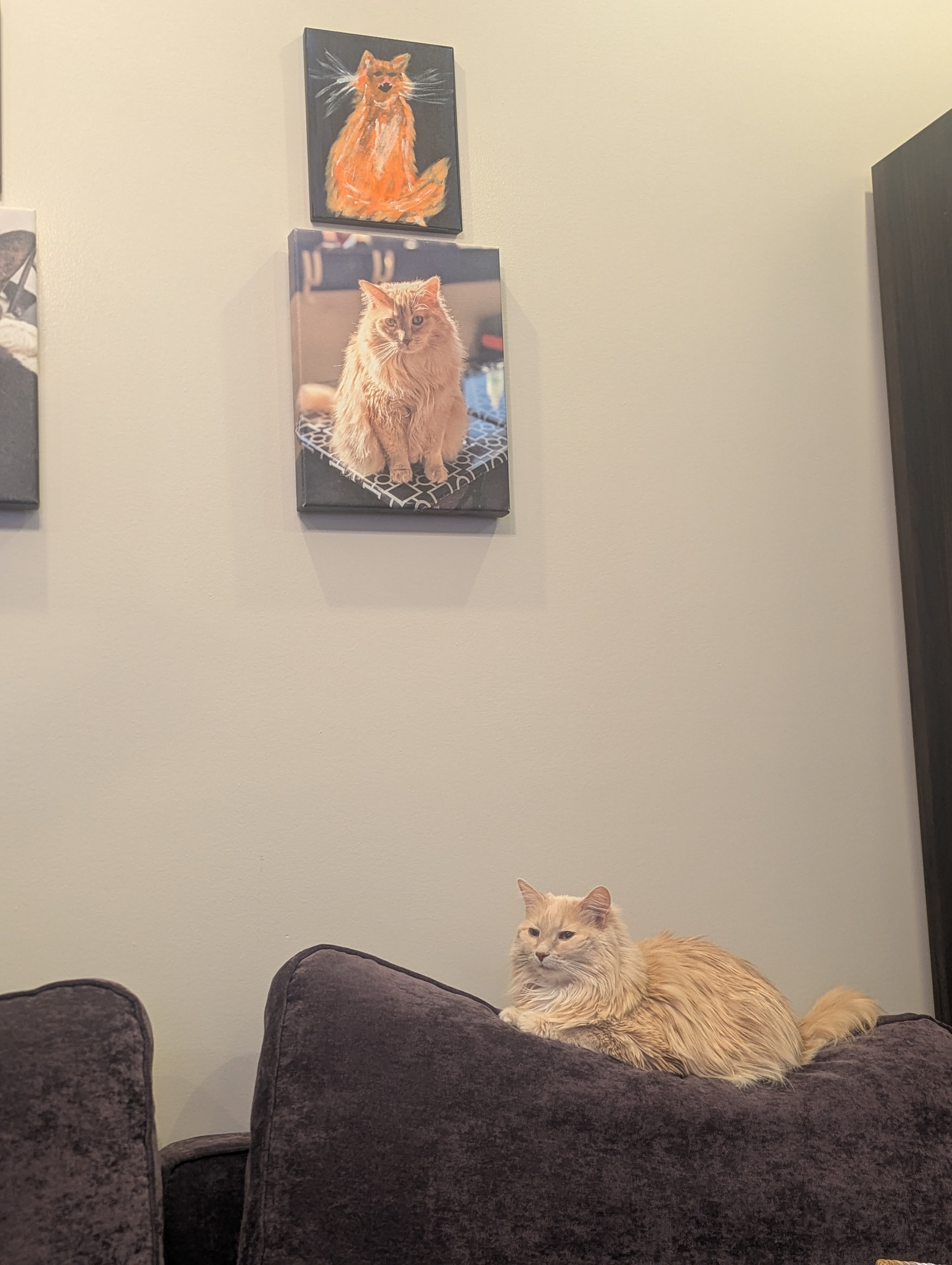Ruby under her portraits at the new apartment.