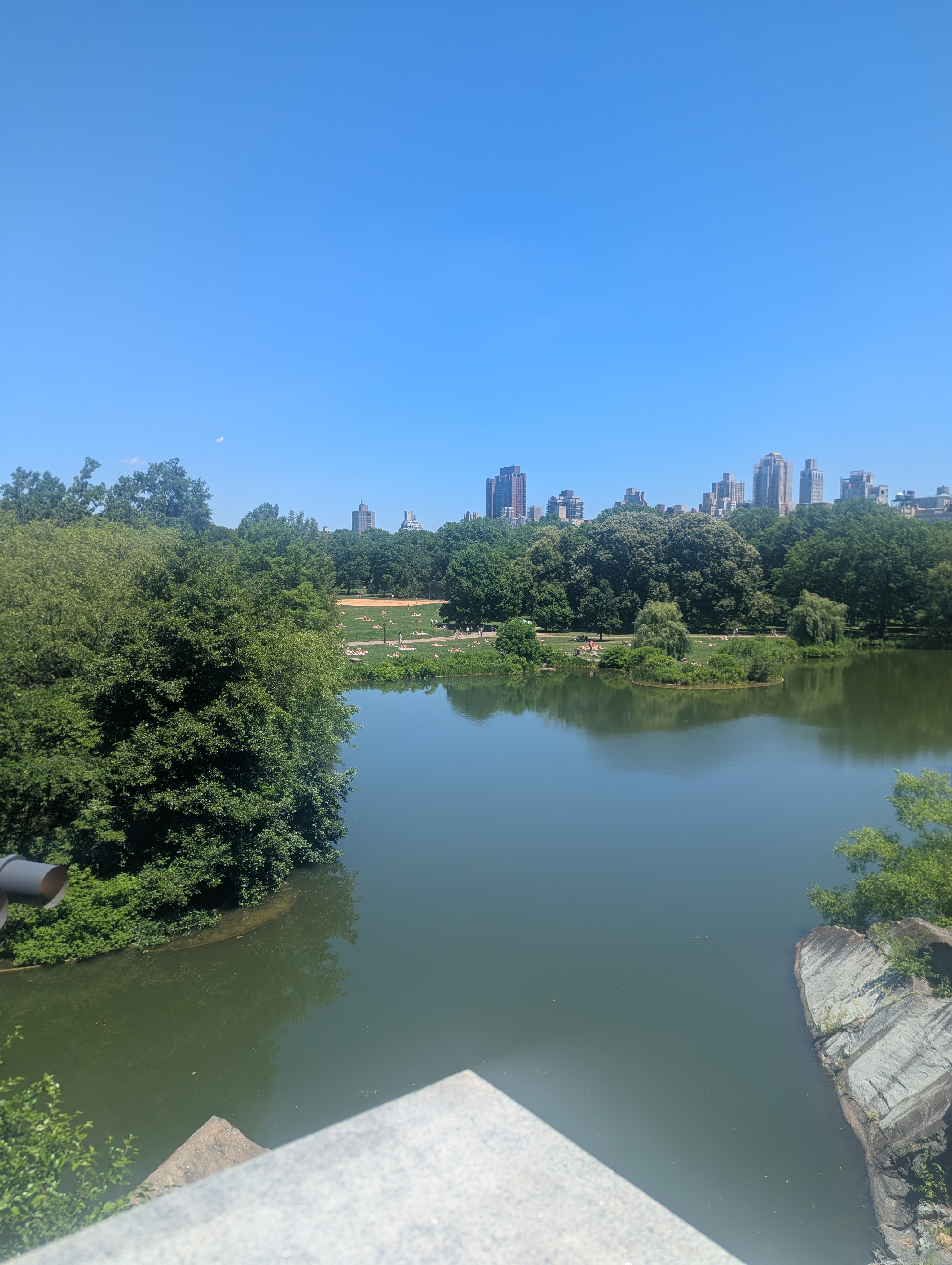 A view of Turtle Pond from Belvedere Castle