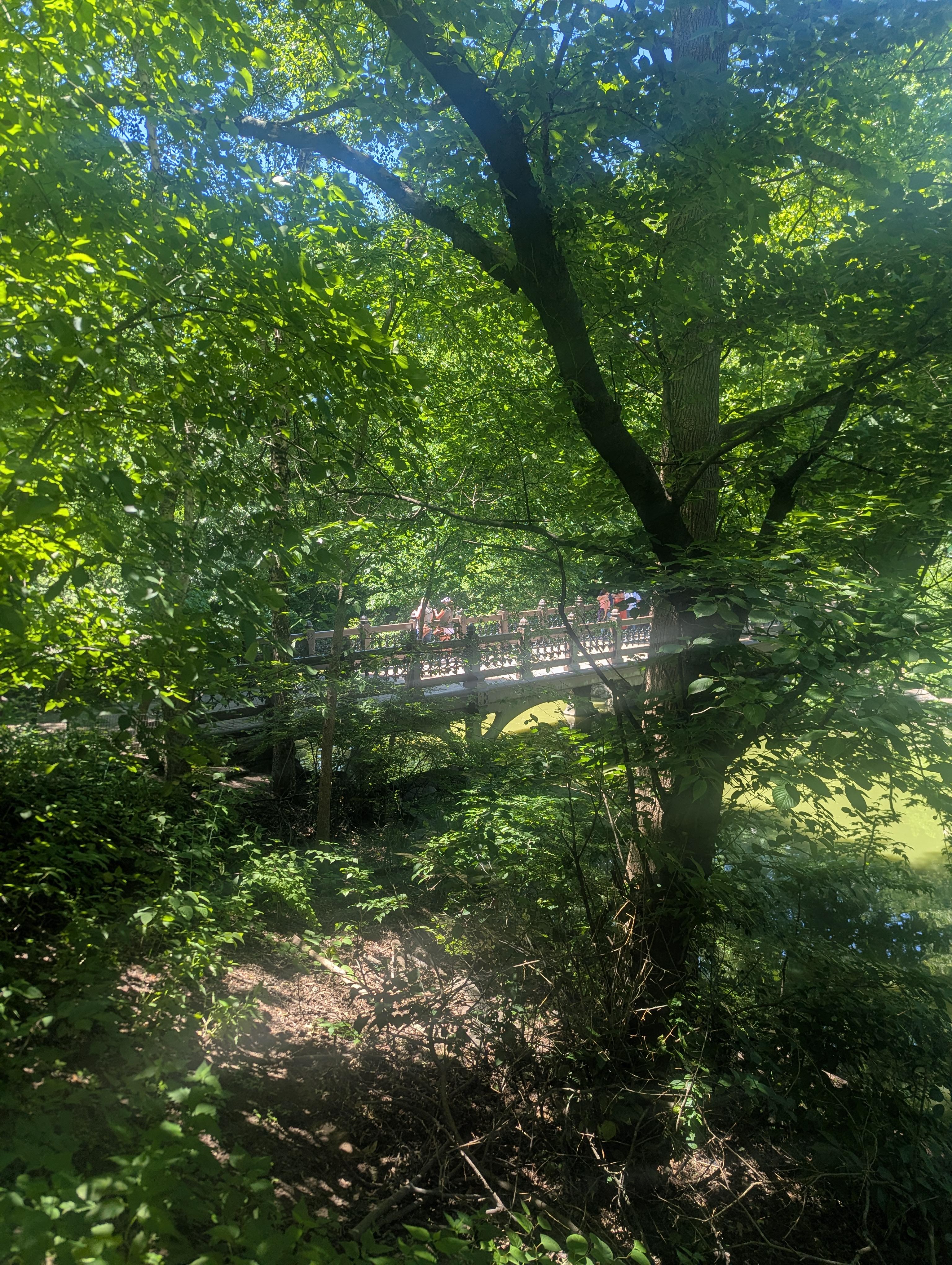 A popular bridge in the Rambles, a wooded part of the park.