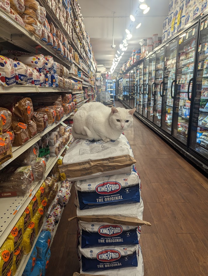 If you are lucky, you will see the celeberty in the store..