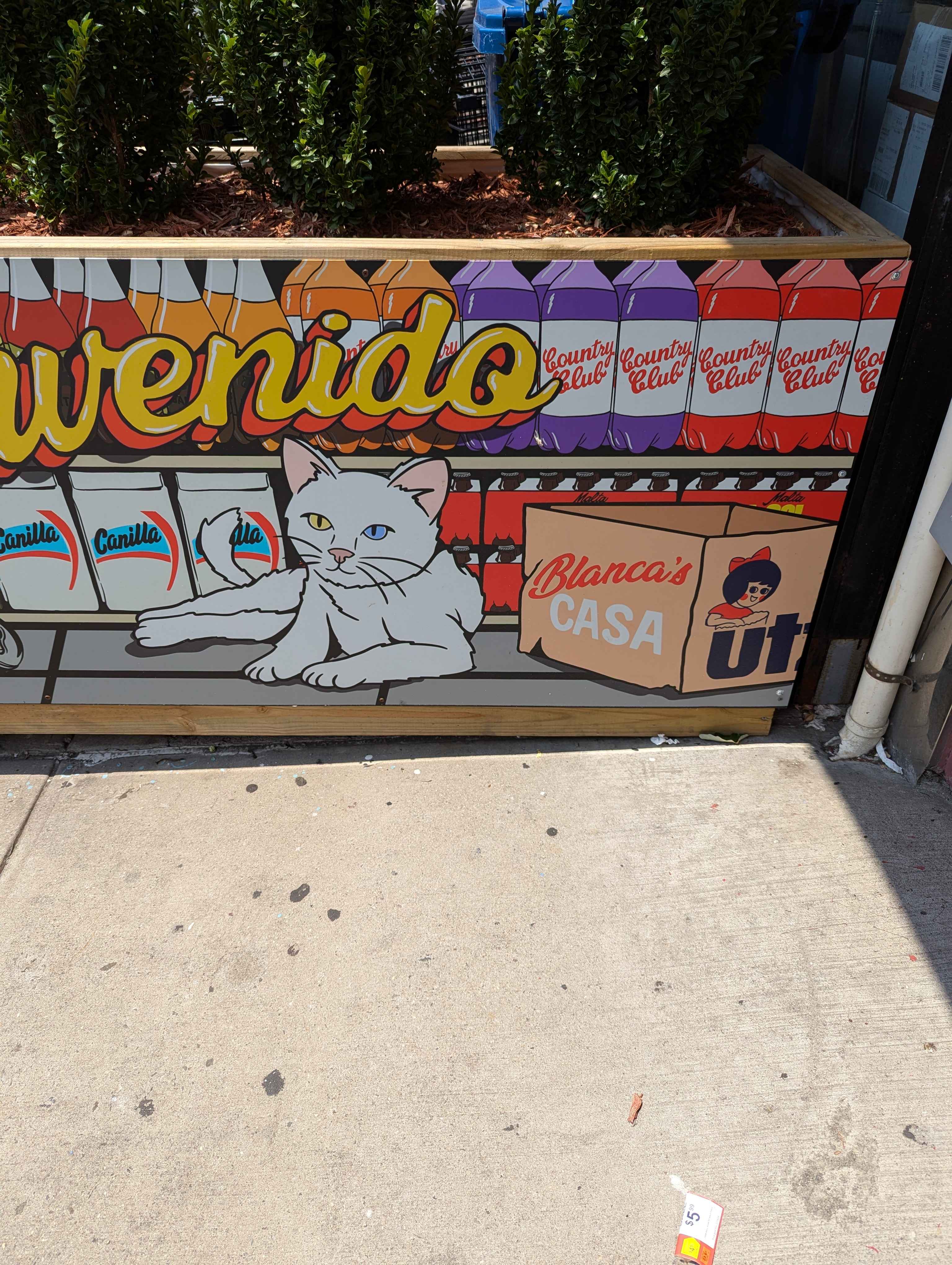 One of our local grocers has a cat mascot named Blanco.
