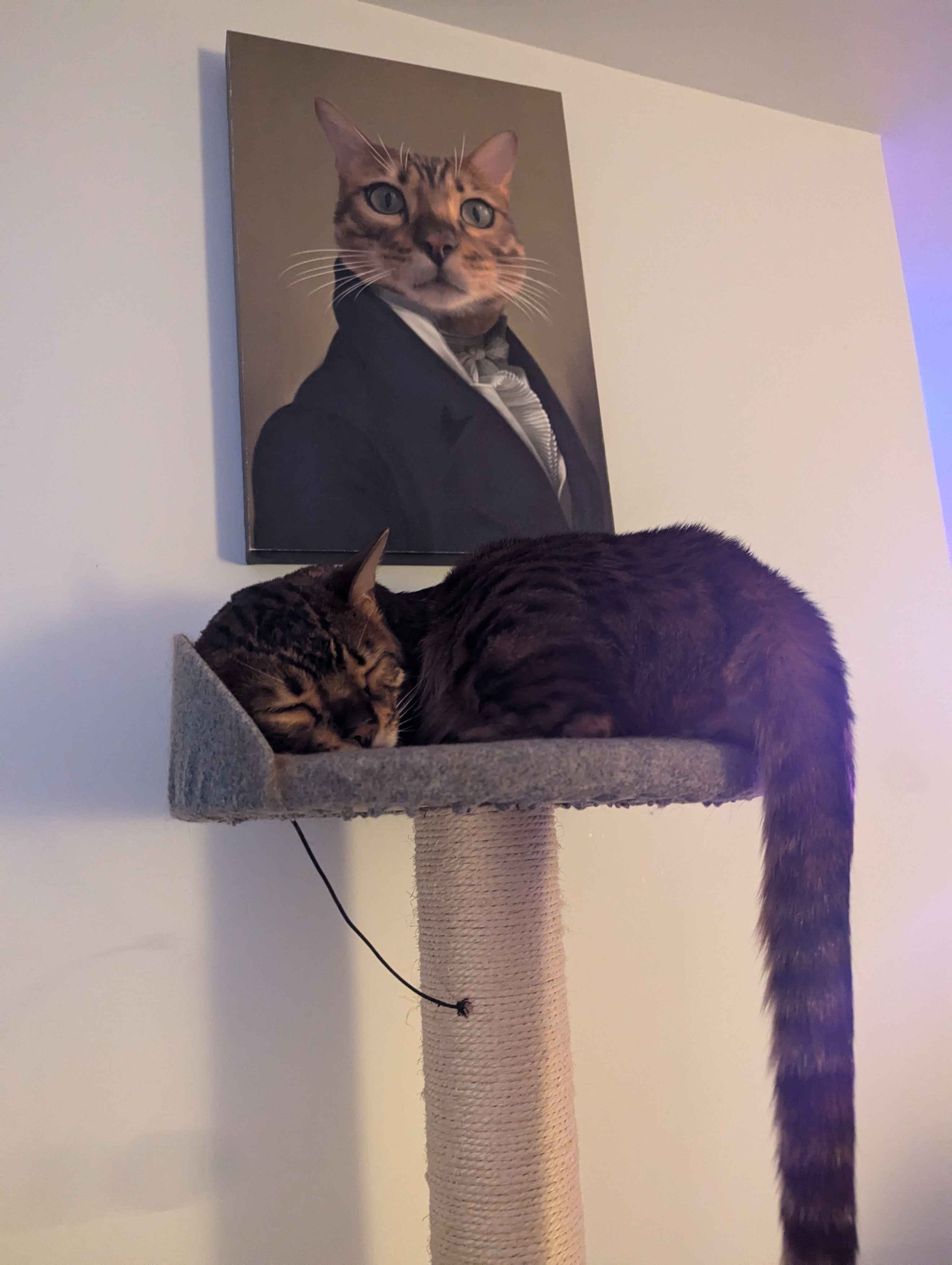 A cat friend at the party named Jonas, he has his own portrait on the wall.