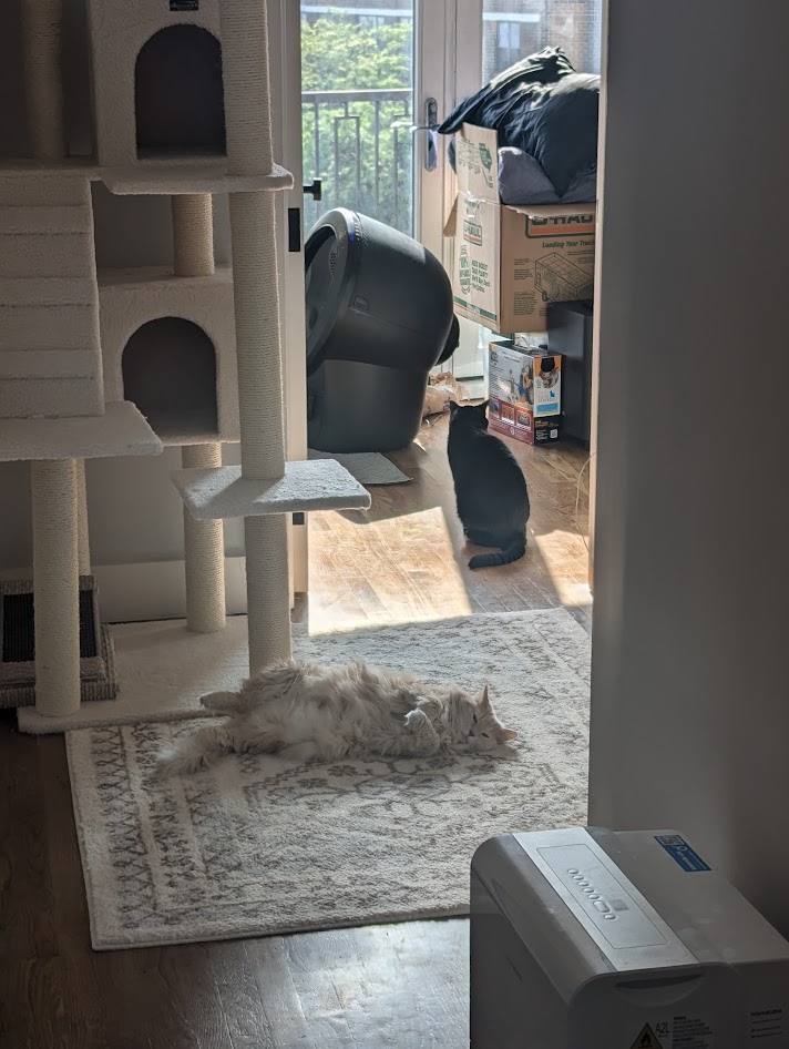 Then we all had a very lazy Sunday.