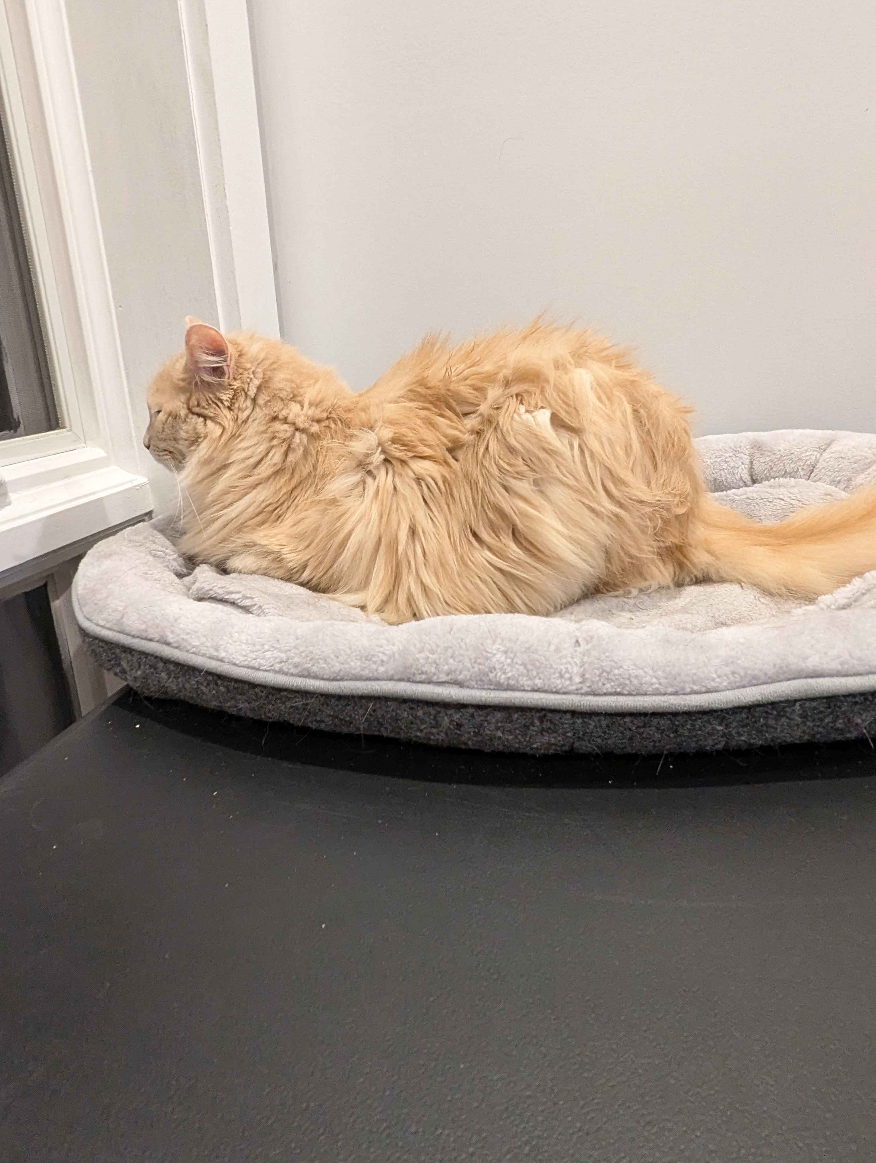 Another angle so you can understand the full cuteness.