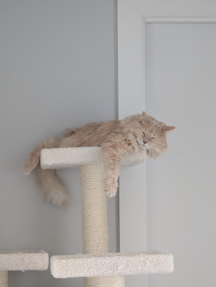 Ruby was exhausted.