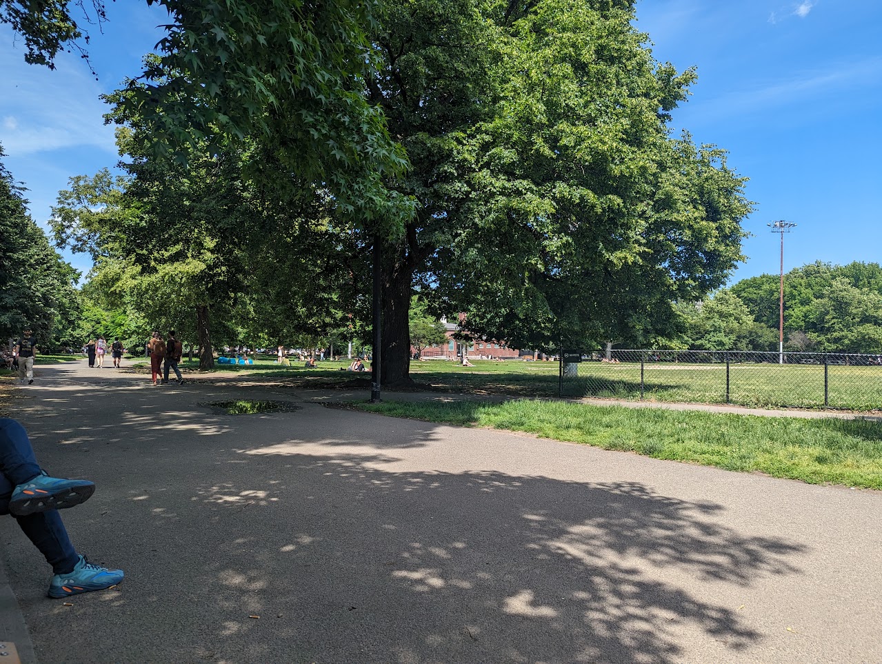 Chilling on a bench at the local park.