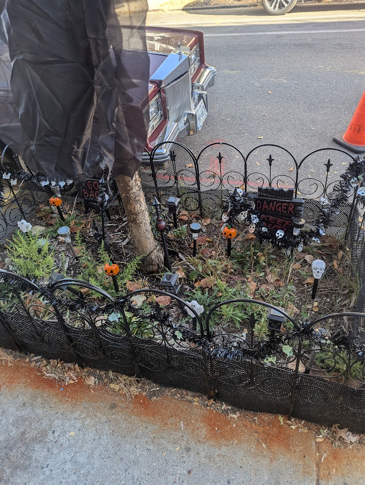 Someone decorated the small space around a tree on the sidewalk.