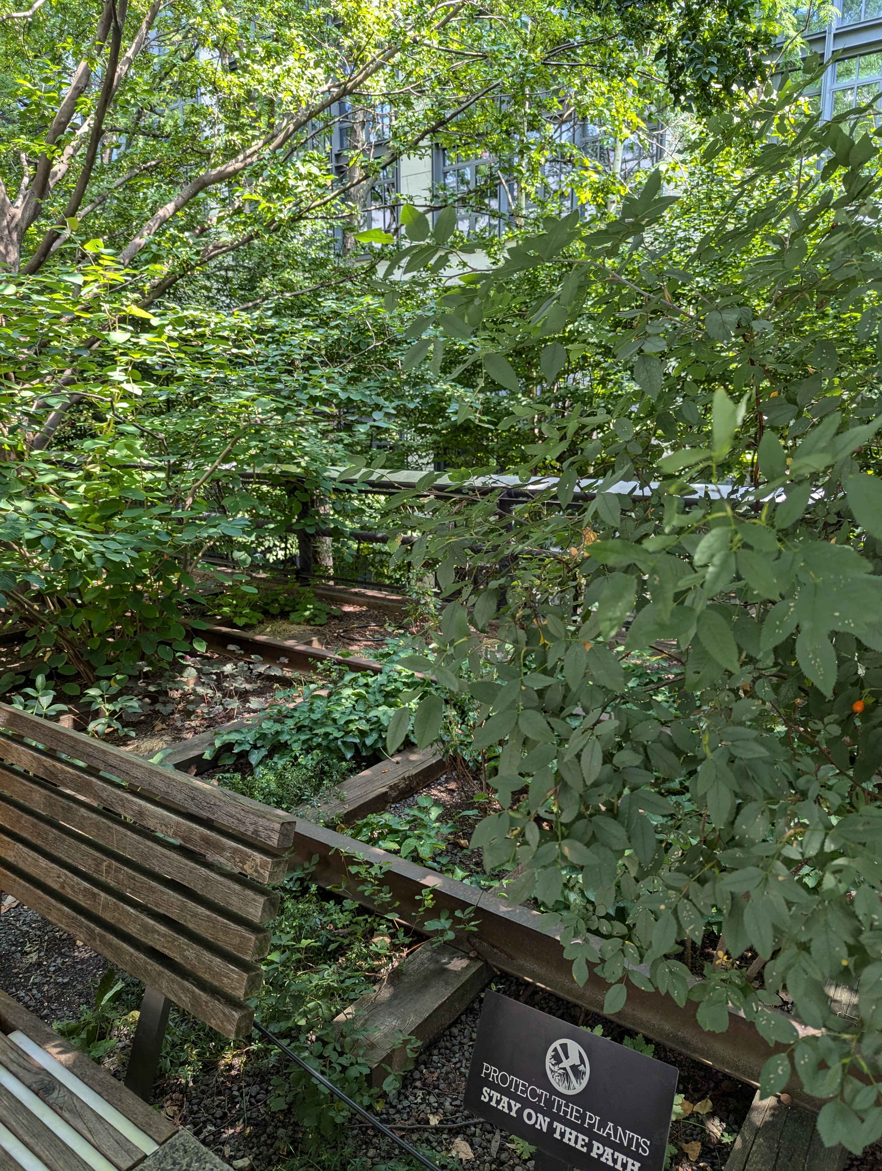 Some of the old tracks from back when the High Line was an elevated subway line.