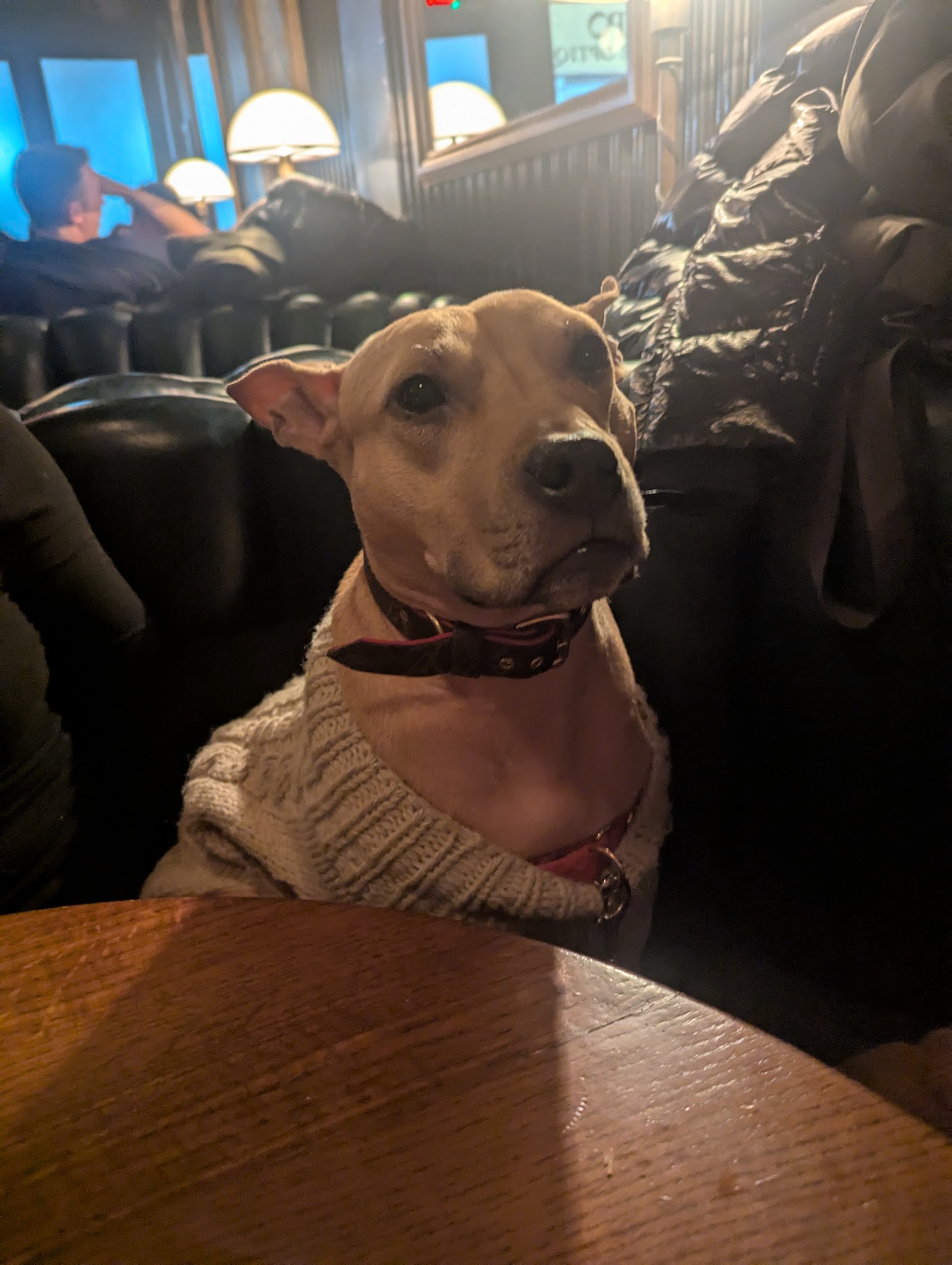 We got to visit Gisele the dog at this awesome bar called the Spaniard