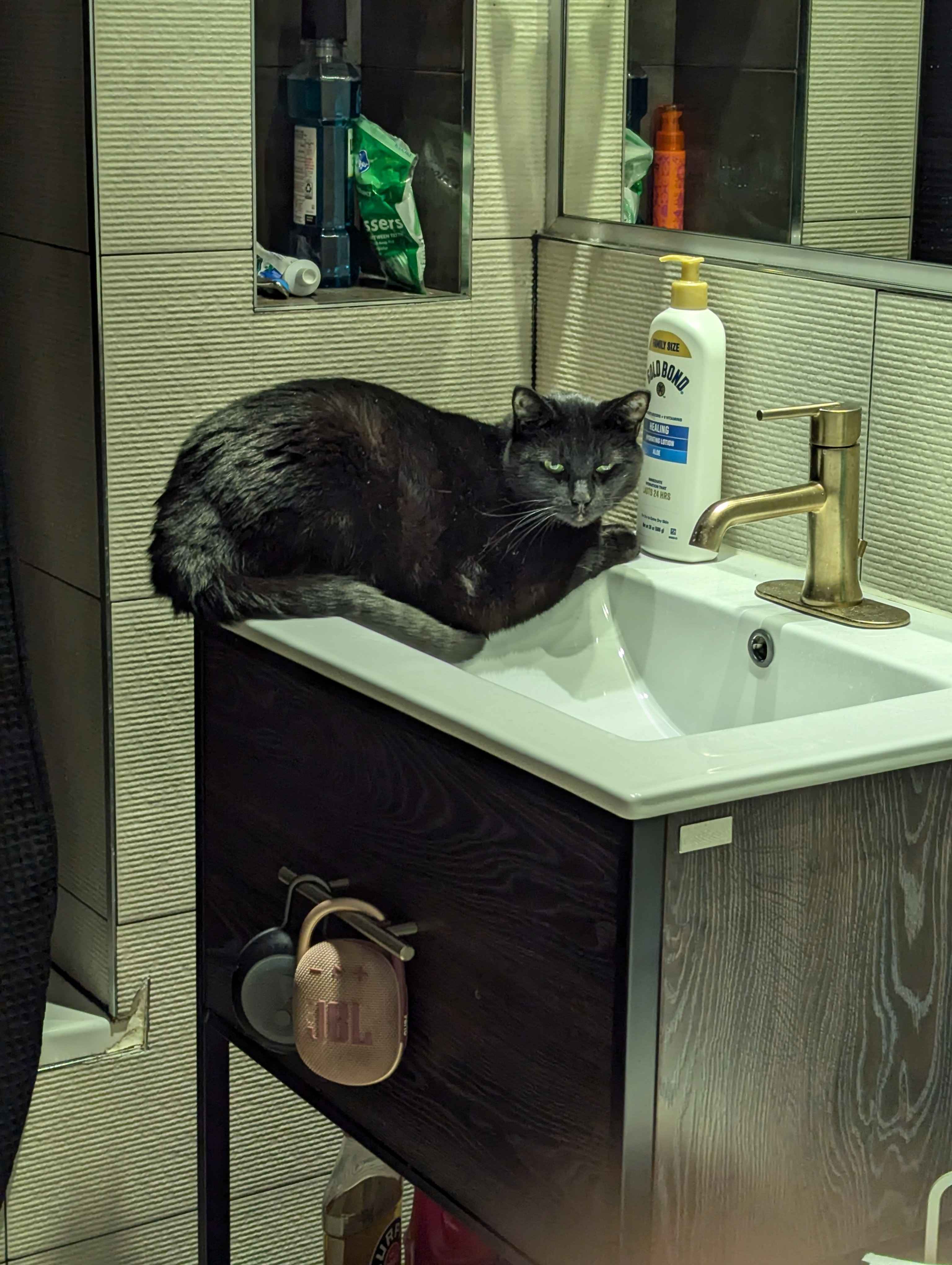 Molly feels like this sink is a little smaller than her old sink.