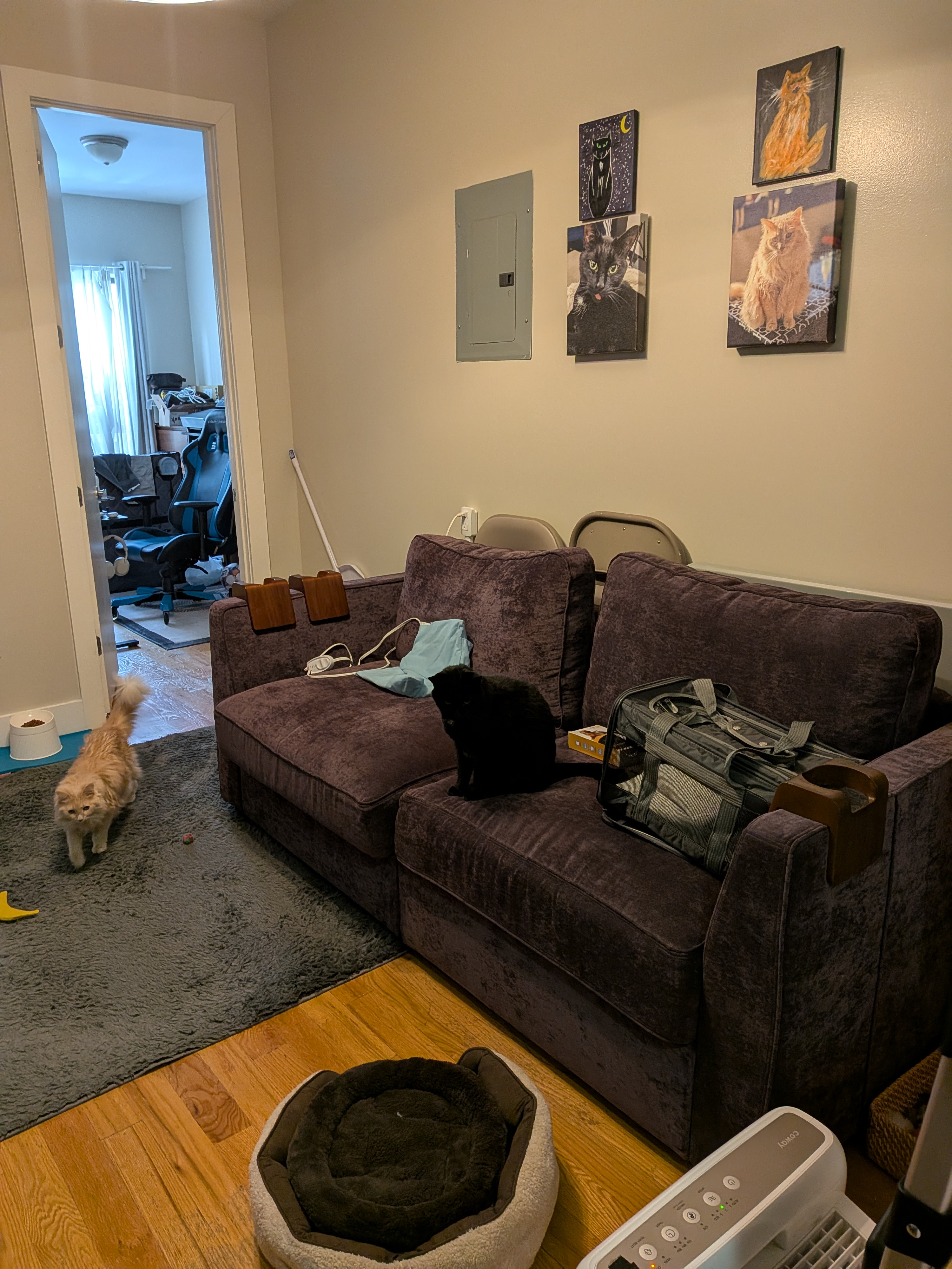Right side of the living room with the couch. I took this picture close to the cats dinner time so they are curious what I am doing!