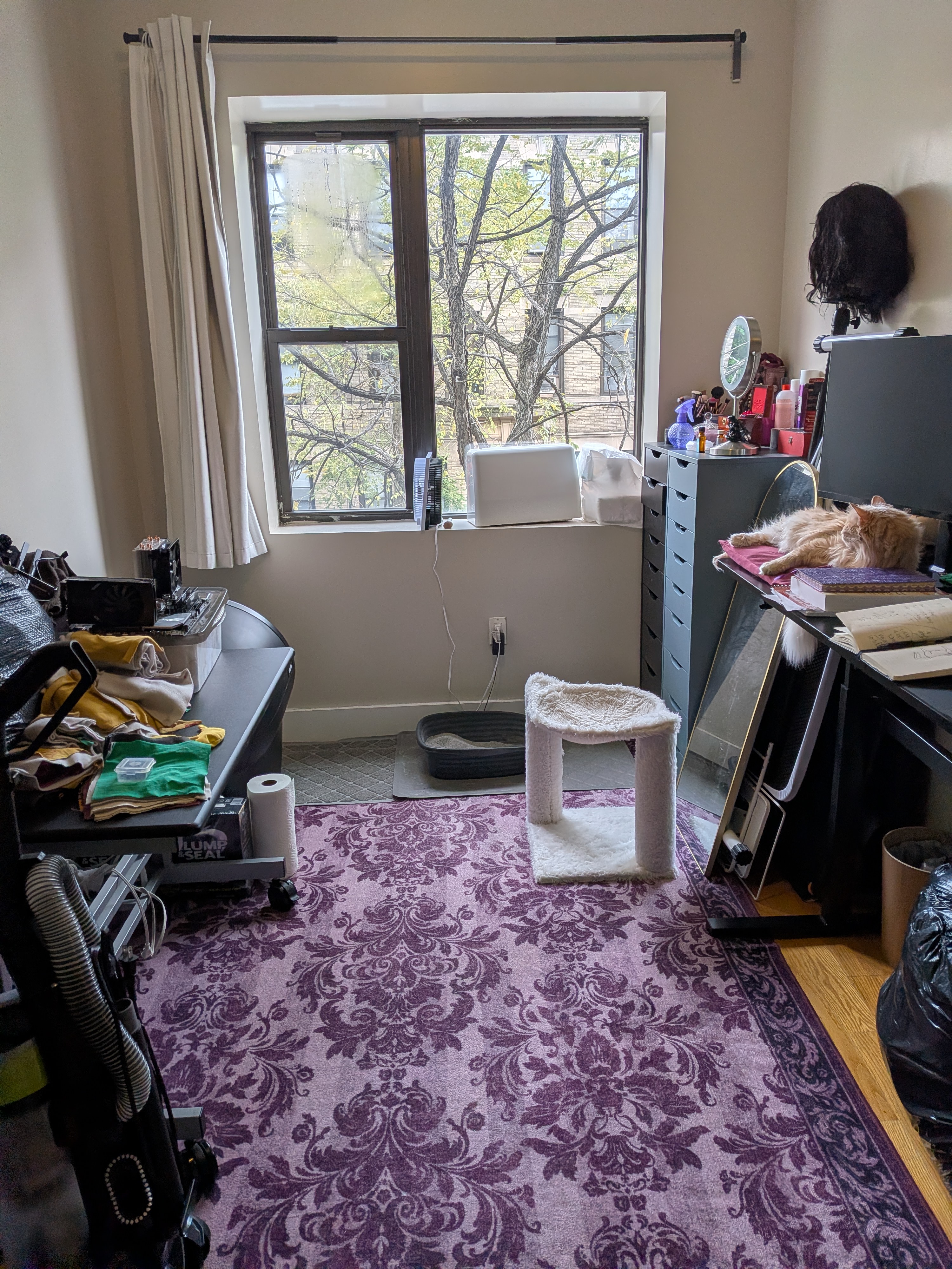 My office where I work during the day and also do my sewing and crafting. Ruby has her own bed on my work desk