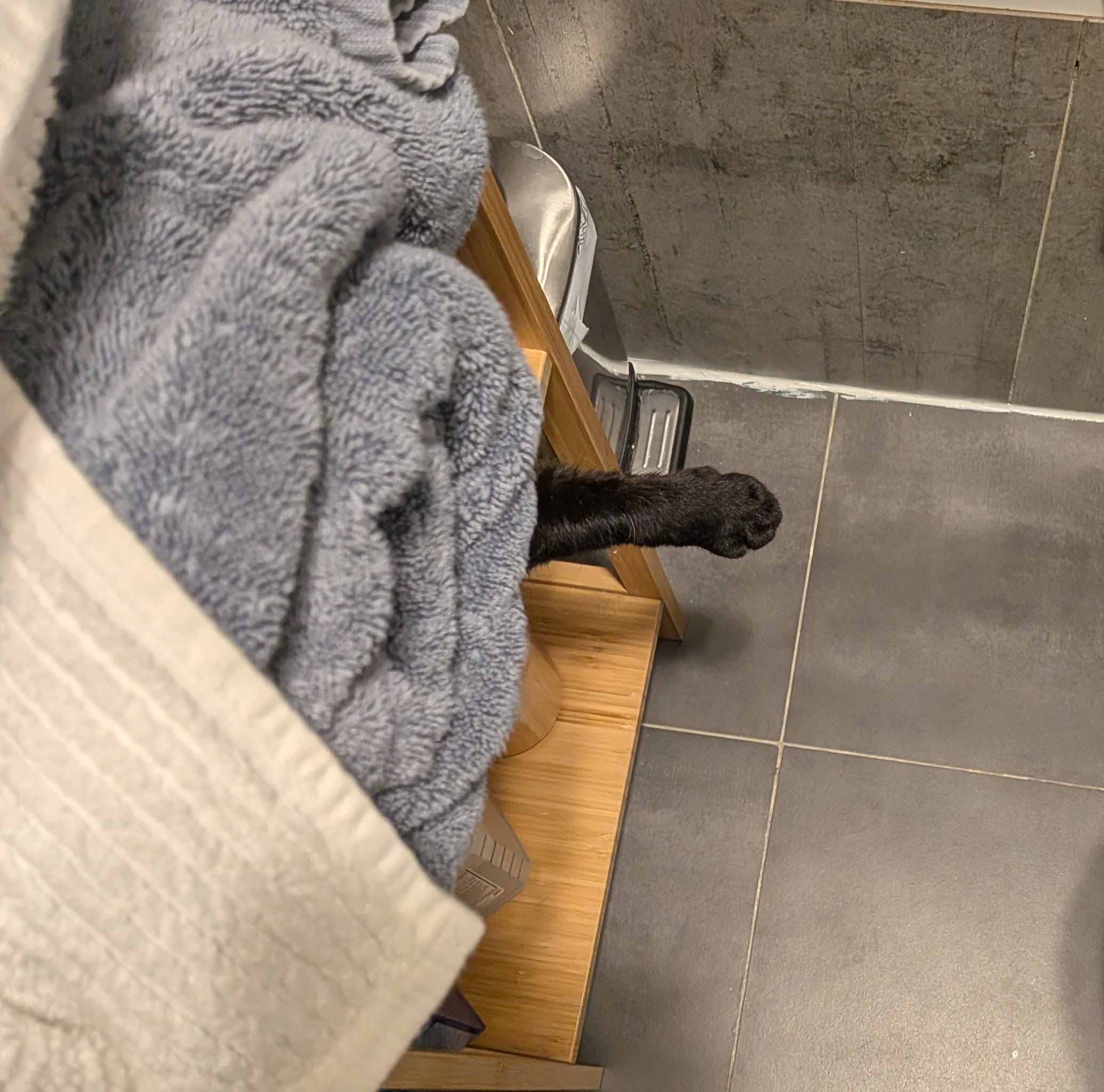 Molly has her own bed on the bathroom shelf