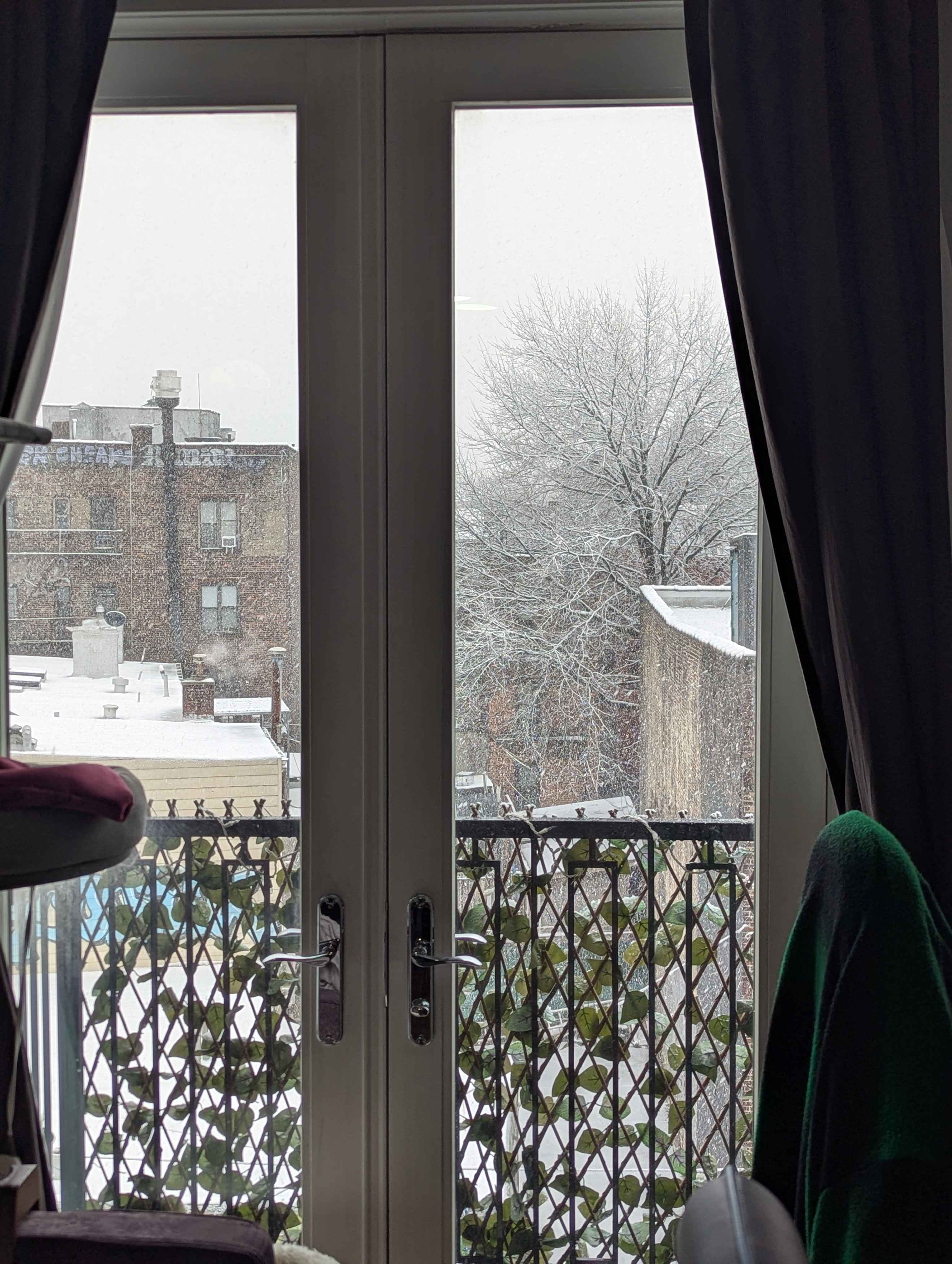 Another pic of the snow.