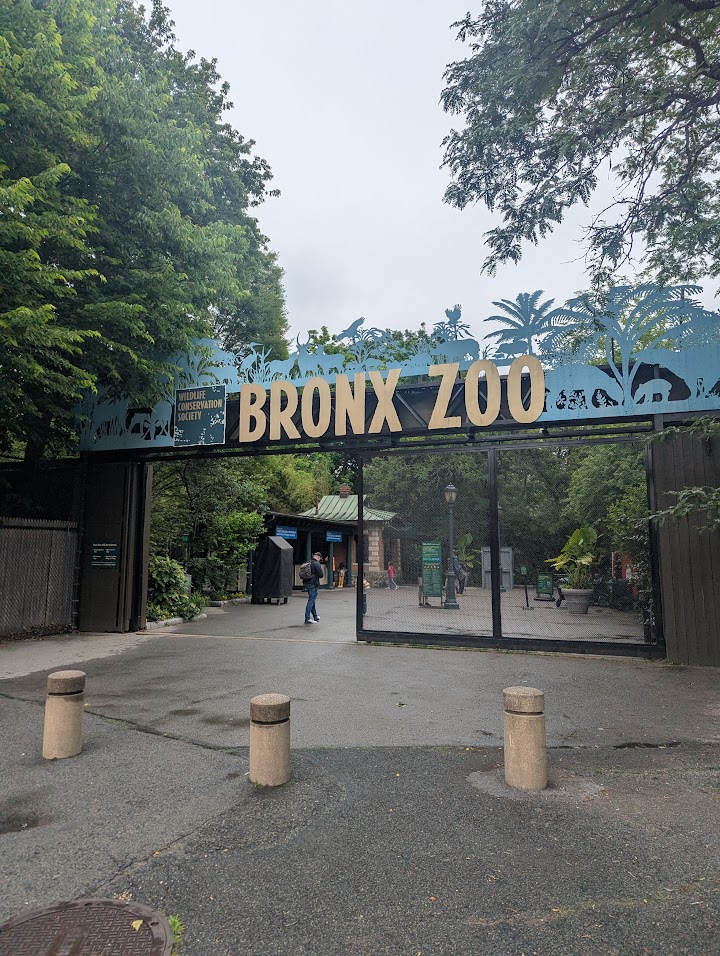 We also went to the Bronx Zoo with our friends Abbie and Ross.