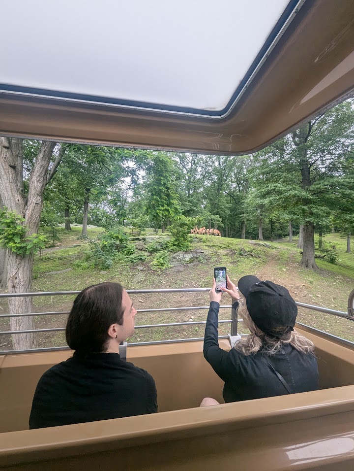 The Bronx zoo is massive, and it has this cool monorail that you can ride to see into some of the enclosures.