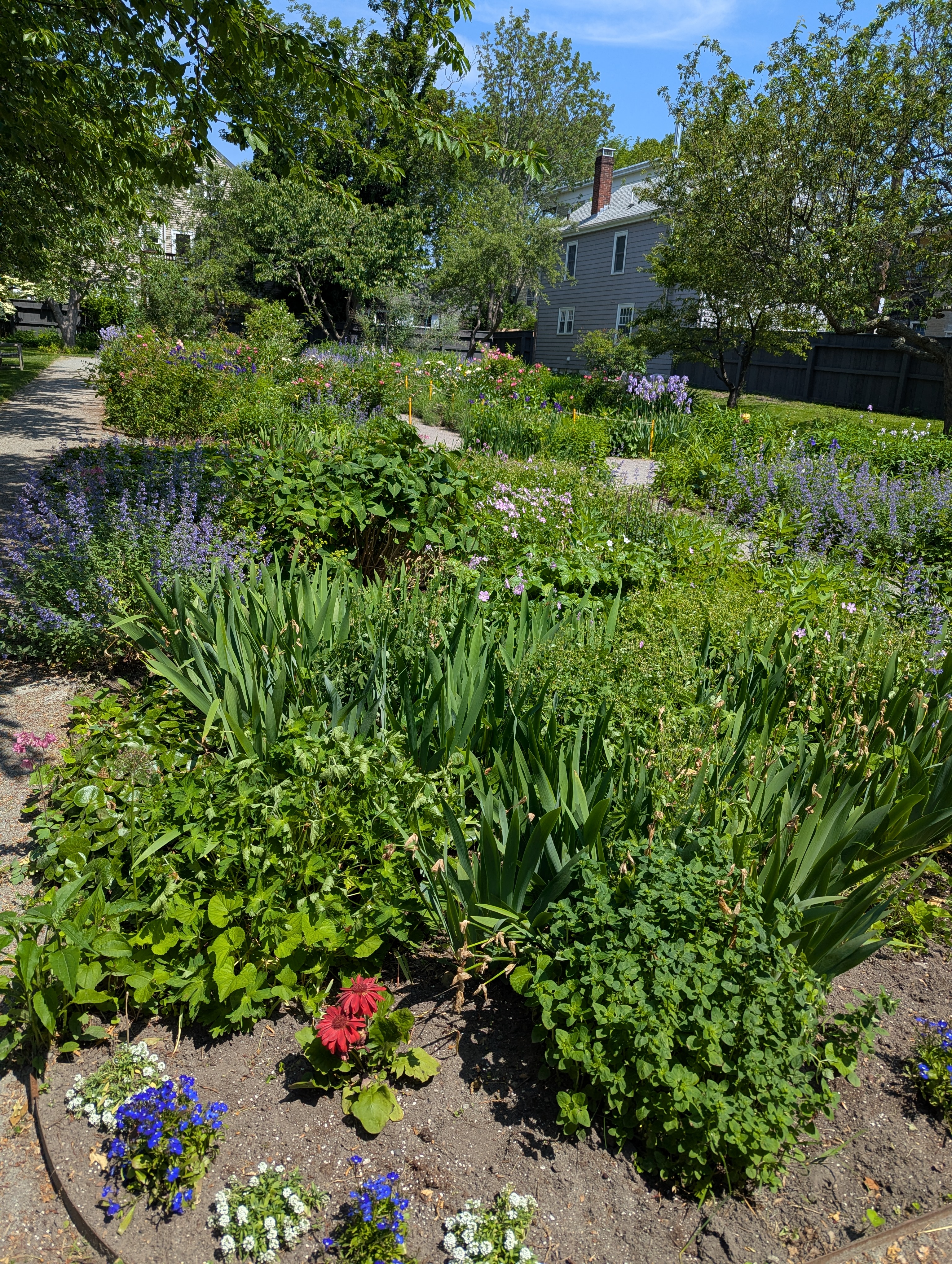 Pretty garden in the backyard of the Derby House.