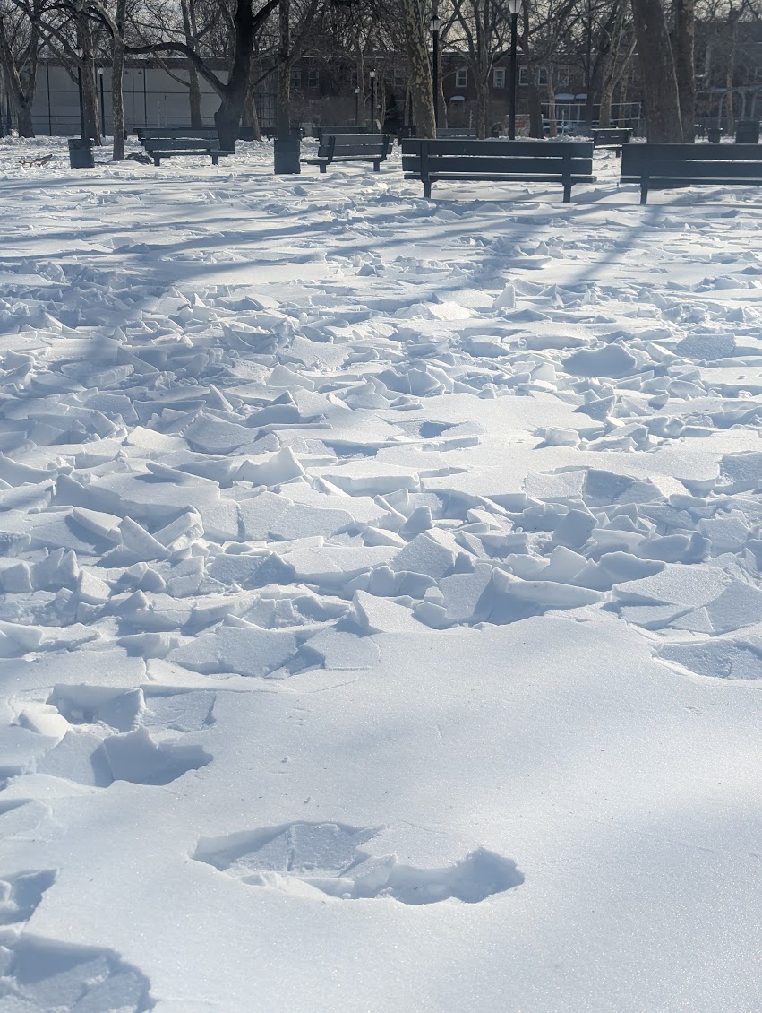 Our local park looking like the arctic.