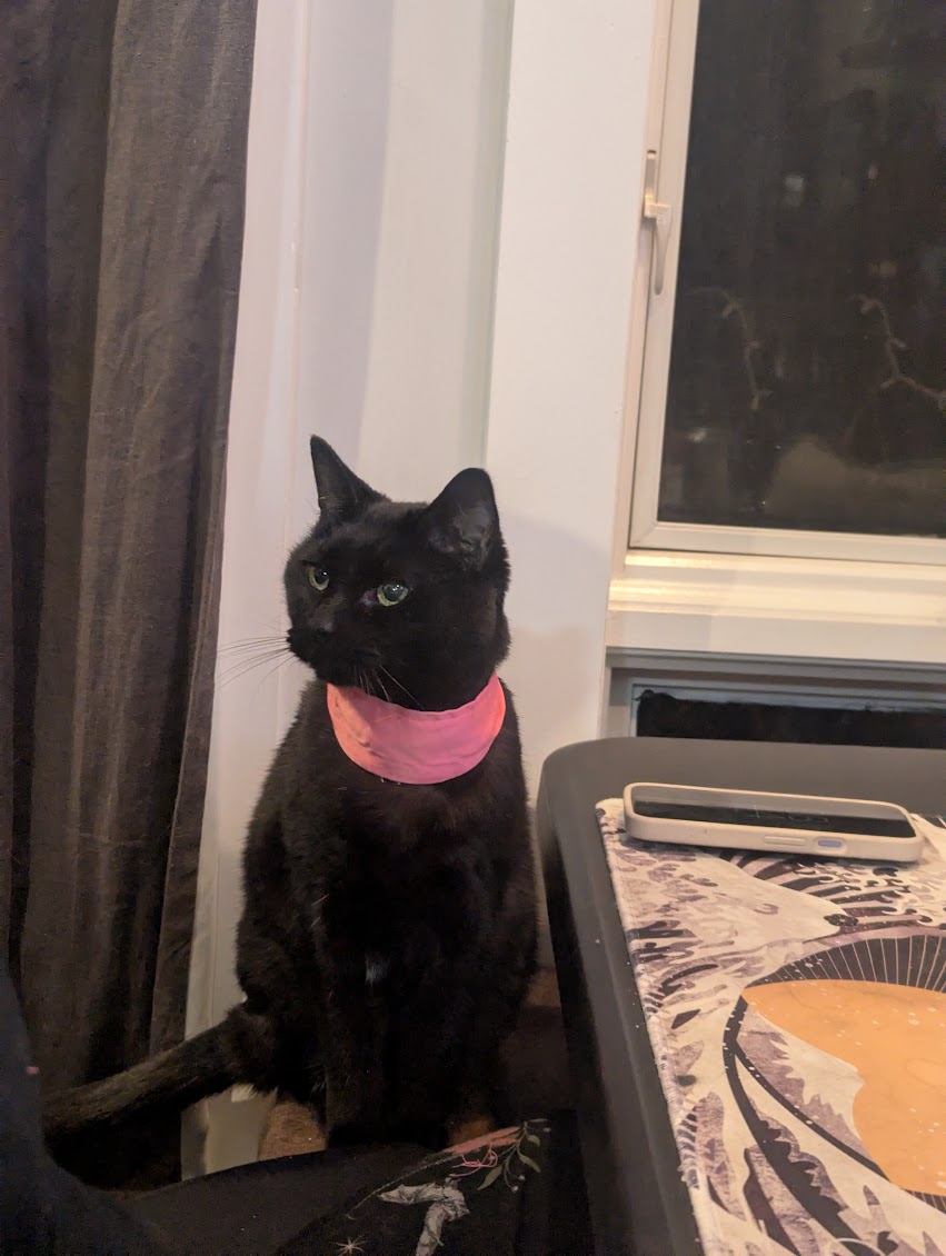 Molly says, see ya next time!