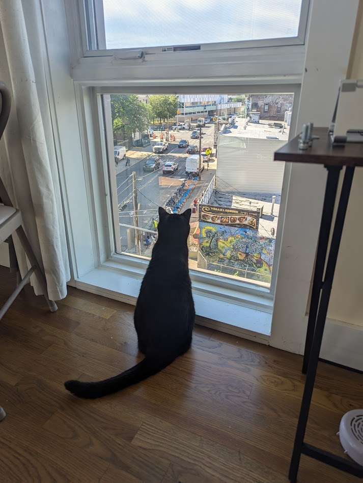 Molly lording over her kingdom.